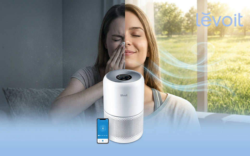 Levoit Reveals Why Cleaner Indoor Air Can’t Wait Until Allergy Season