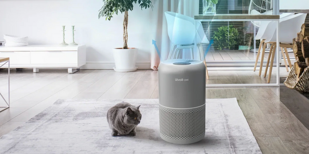 A grey Levoit Core P350 Pet Air Purifier on a light-colored rug in a bright, modern living room. A grey cat sits next to the device, which shows blue light rays indicating clean air flow being circulated.