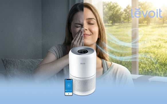 Levoit Reveals Why Cleaner Indoor Air Can’t Wait Until Allergy Season
