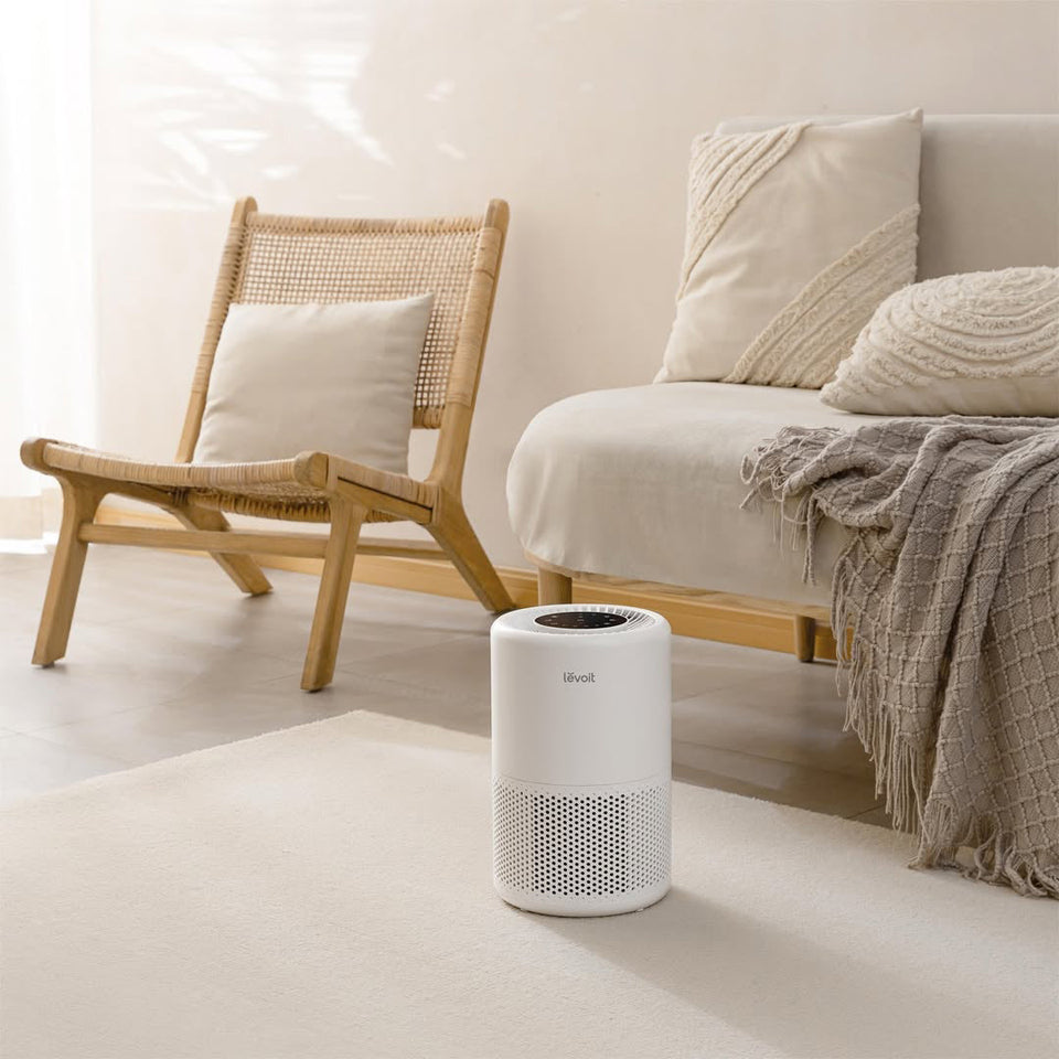 Air Wellness: The Next Big Trend in Home Design