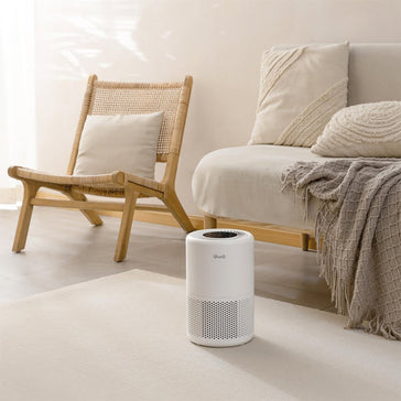 Air Wellness: The Next Big Trend in Home Design