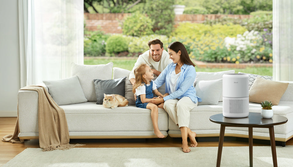 How to Clean Your Air Purifier