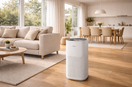 Best Large Room Air Purifier Australia