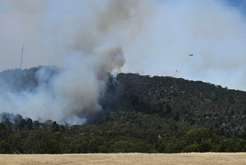 Understanding the Air Quality Index