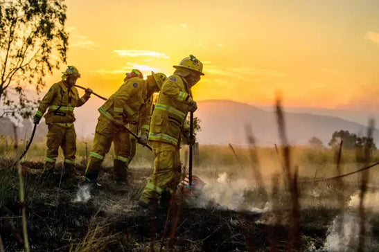 Bushfire season Australia 