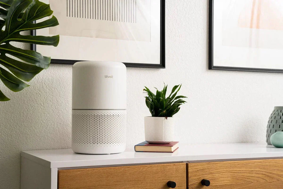 Breathe Easier at Home: How Levoit Air Purifiers Help Australians Beat Allergies