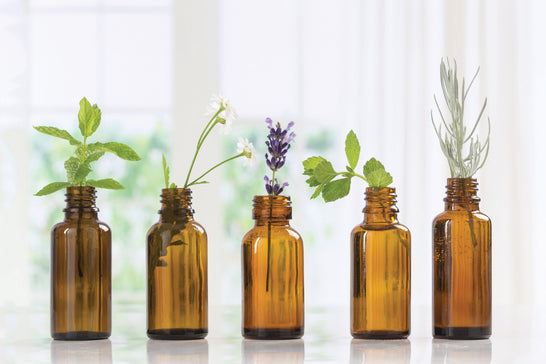 Aromatherapy Air Purifiers: Essential Oil Diffuser + Purifier