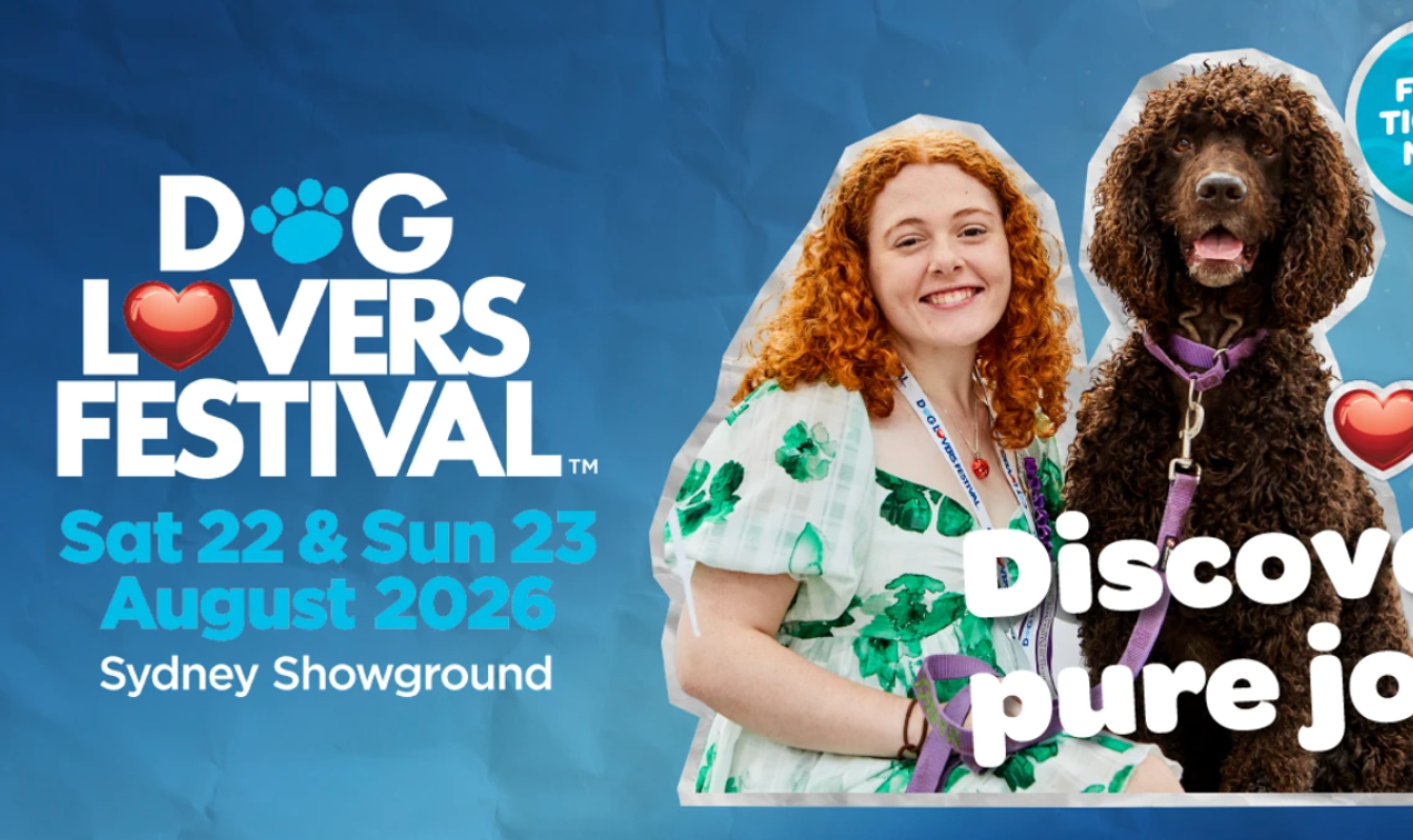 Pet Festival Products