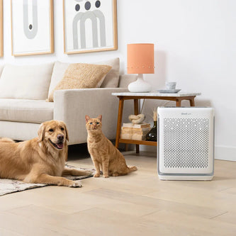Pet Air Purifier