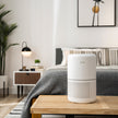 Levoit Core 300S Smart Air Purifier