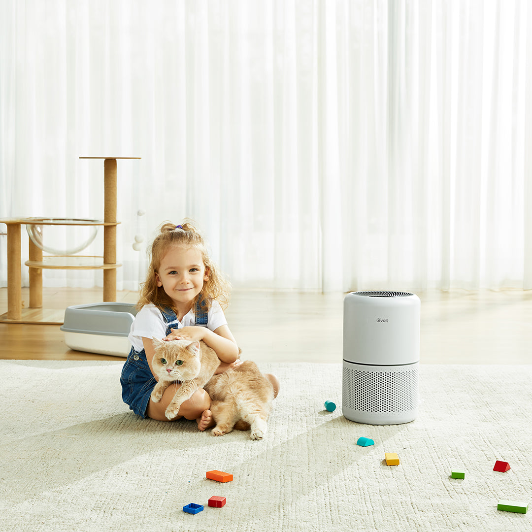 Levoit Core 300 Air Purifier