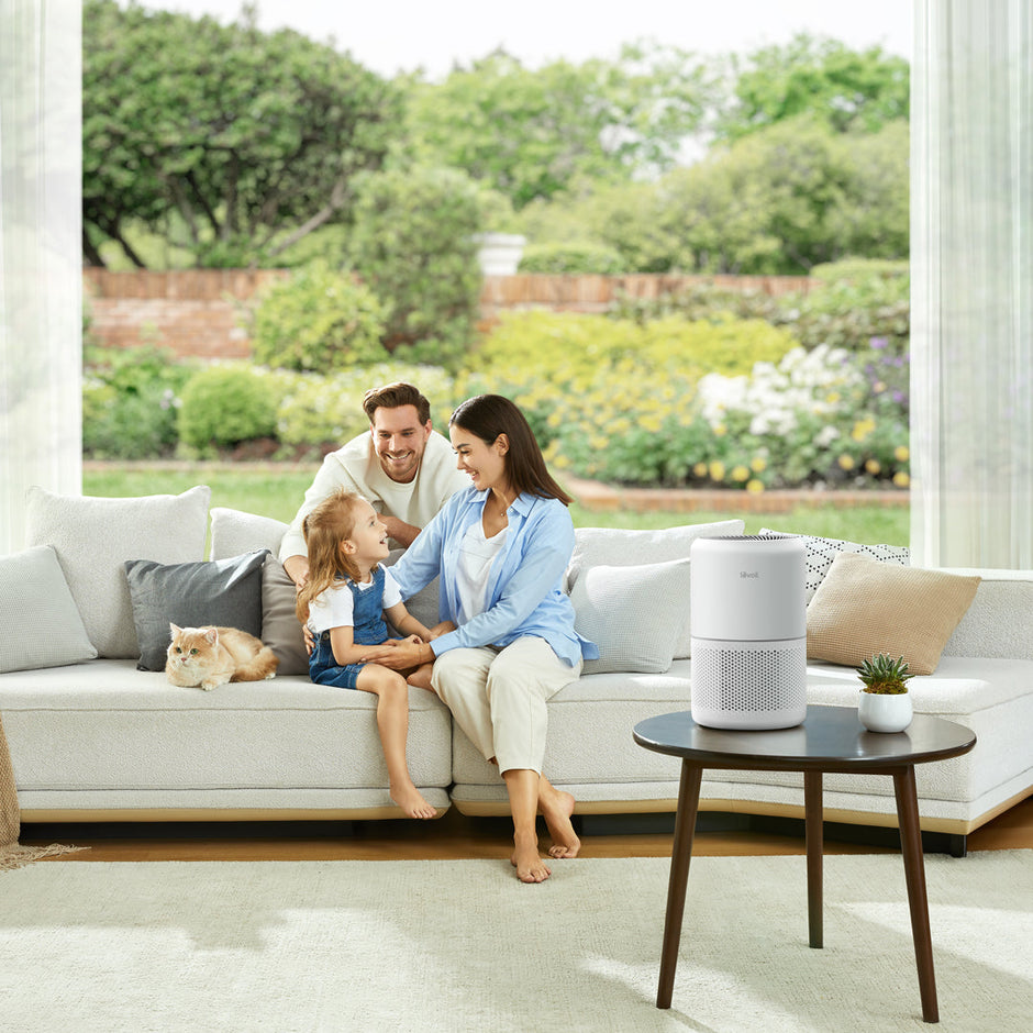 Levoit Core 300 Air Purifier